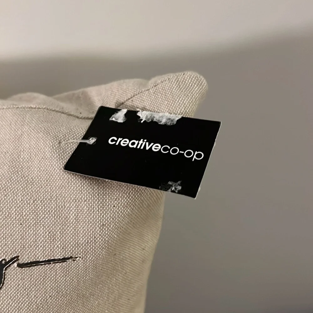 NEW Iceland Poppy Pillow by Creative Co-Op - Picture 2 of 6